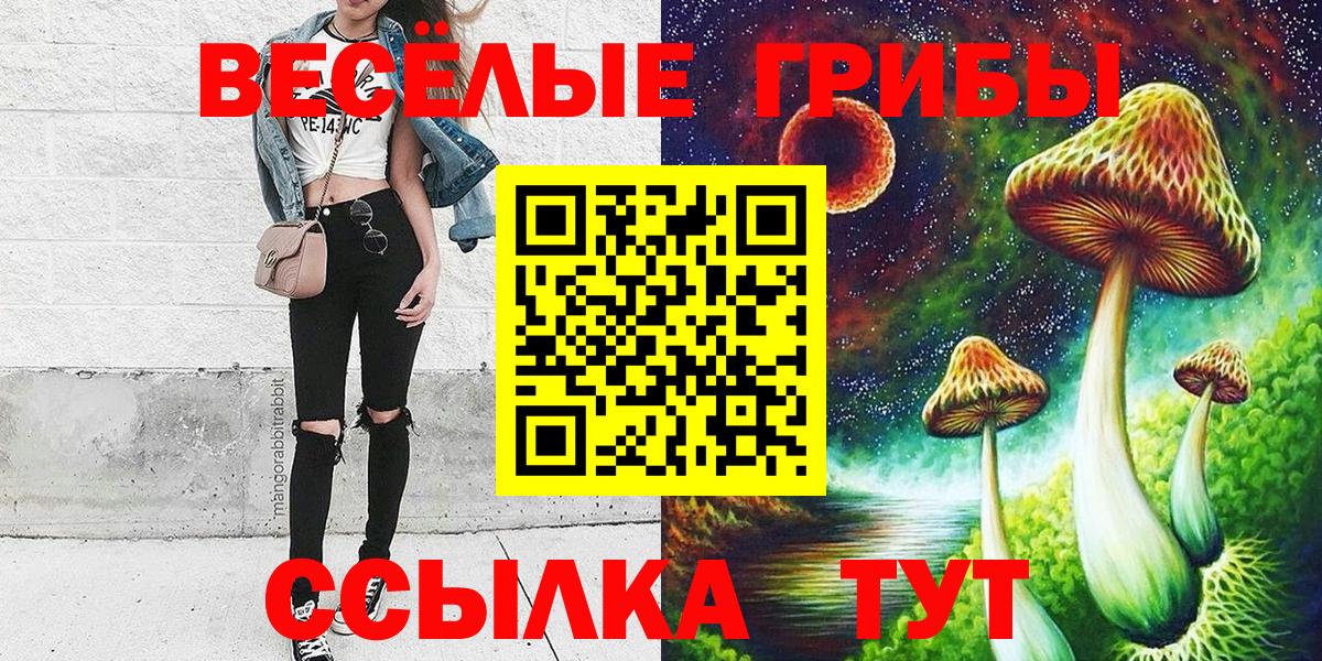 Псилоцибиновые грибы GOLDEN TEACHER  Вход с VPN  Галлюциногенные грибы GOLDEN TEACHER  Вязьма 